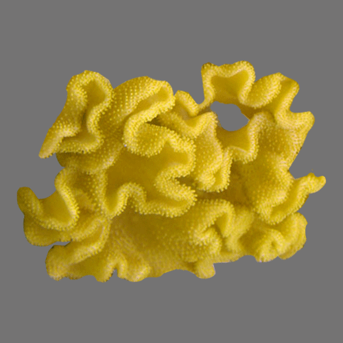 coral_yellow_fiji_leather-500x500